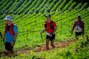 BIB: 3556
                            <button type="button" onclick="openModal(19162249)" class="btn btn-primary btn-sm float-right btn-popup" data-toggle="modal" data-target=".modal-high-quality">
                        <i class="fas fa-shopping-cart"></i> Add to Cart
                    </button>
                                            <button type="button" onclick="isThisMe(19162249, true)" class="btn btn-success btn-sm float-right btn-popup btn-isme hidden" data-toggle="tooltip" data-placement="bottom" title="นี่คือรูปของคุณใช่ไหม คลิกที่นี่เพื่อเอาเข้าอัลบั้ม">
                        <i class="fas fa-plus"></i> Add to album
                    </button>
                    <button type="button" onclick="isThisMe(19162249, false)" class="btn btn-warning btn-sm float-right btn-popup btn-isnotme hidden">
                        <i class="fas fa-ban"></i> Remove from album
                    </button>